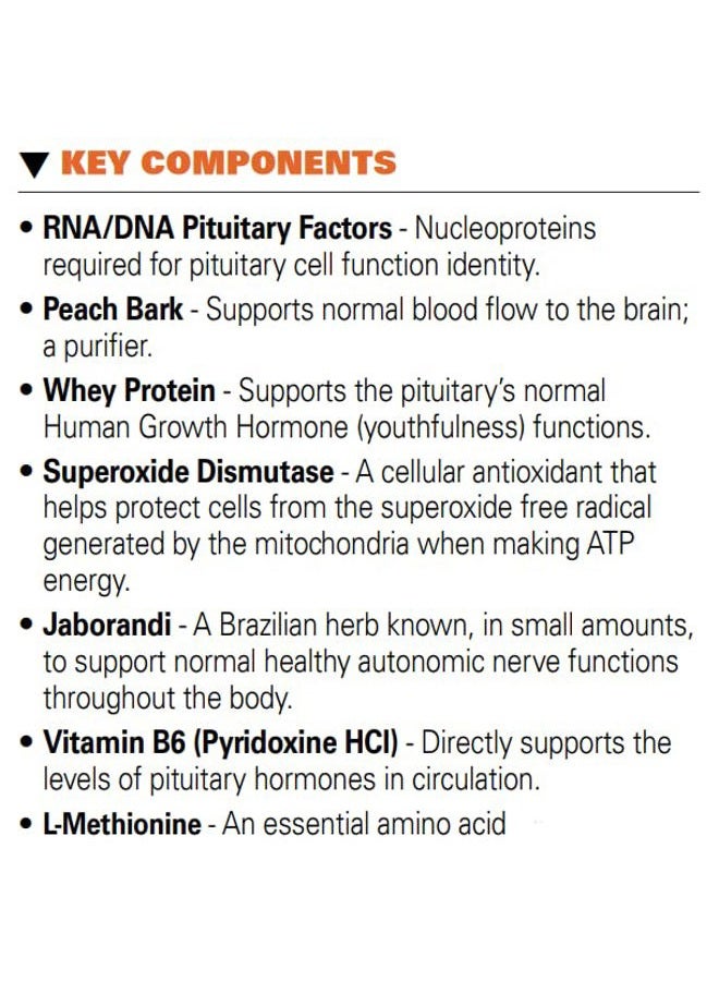 Systemic Formulas #32 Bio Function Gb Pituitary/Pineal 60 Capsules. Supports Mental Clarity and Focus and Normal circadian Rhythms. - Image 3