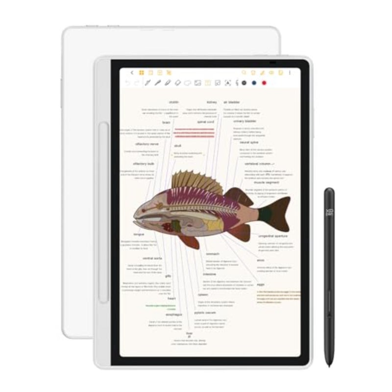 XPPen 3 in 1 Color Digital Notebook 10.95'' Paper Note Taking Tablet with 16384 Pressure Levels Battey-Free X3 Pro Pencil 2 Magnetic Folio 6+128GB Magic Note Pad for Writing/Reading/Meeting/Study - Image 1