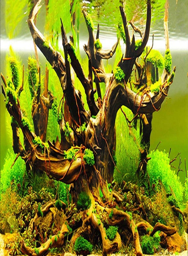 ELEBOX New 20" x 48" Fish Tank Background Paper Wallpaper 2 Sided Colorful Seaweed Water Plants Aquarium Poster Decorations - Image 2