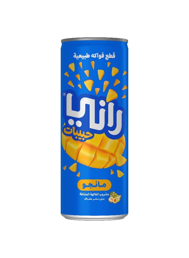 Rani عصير مانجو راني مع ف float، بدون سكر مضاف 240 مل في علبة × 24 عبوة - Image 4