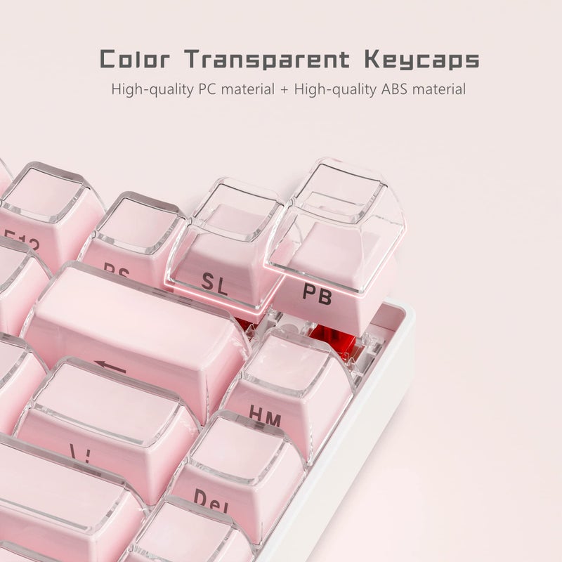 Womier Jelly Keycaps-Lusterfly Cute Keycaps Pink 60 65 75 100 Percent, Side Printed Elegant Key caps Custom113 Keys, OEM Profile for 61/68/84/87/98/100 Cherry Gateron MX Mechanical, Pink - Image 2