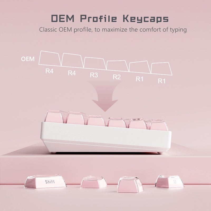 Womier Jelly Keycaps-Lusterfly Cute Keycaps Pink 60 65 75 100 Percent, Side Printed Elegant Key caps Custom113 Keys, OEM Profile for 61/68/84/87/98/100 Cherry Gateron MX Mechanical, Pink - Image 4