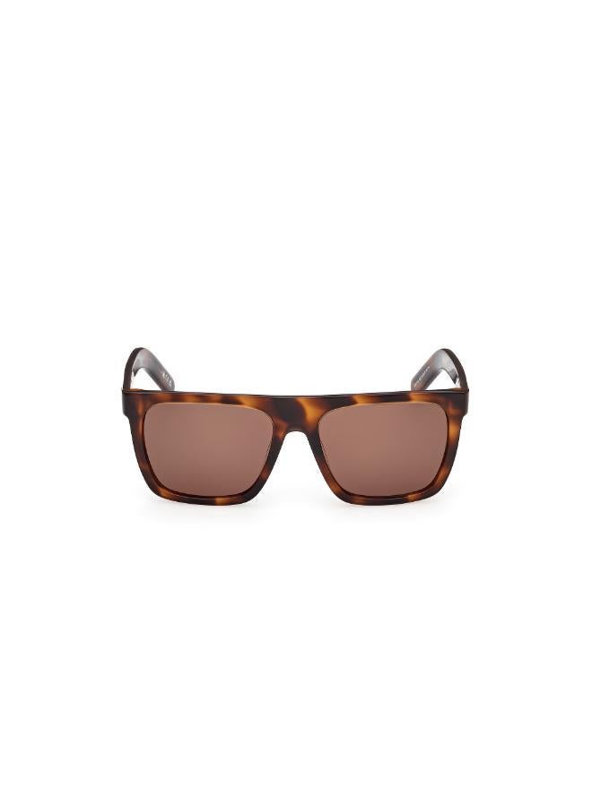 Adidas wayfarers sunglasses - Image 1