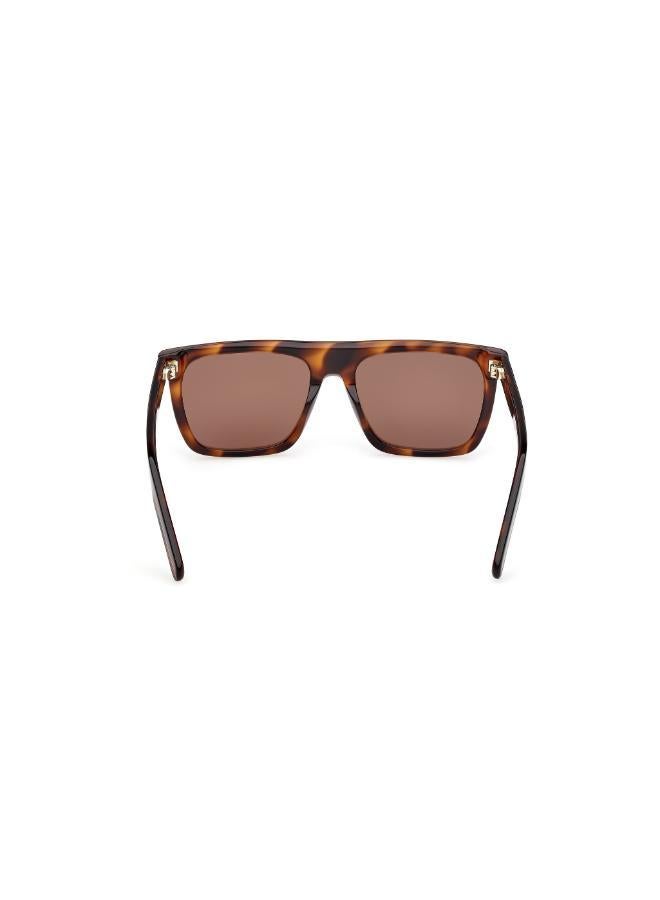 Adidas wayfarers sunglasses - Image 2