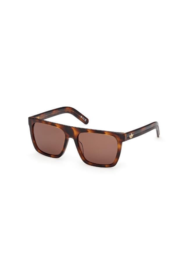 Adidas wayfarers sunglasses - Image 4