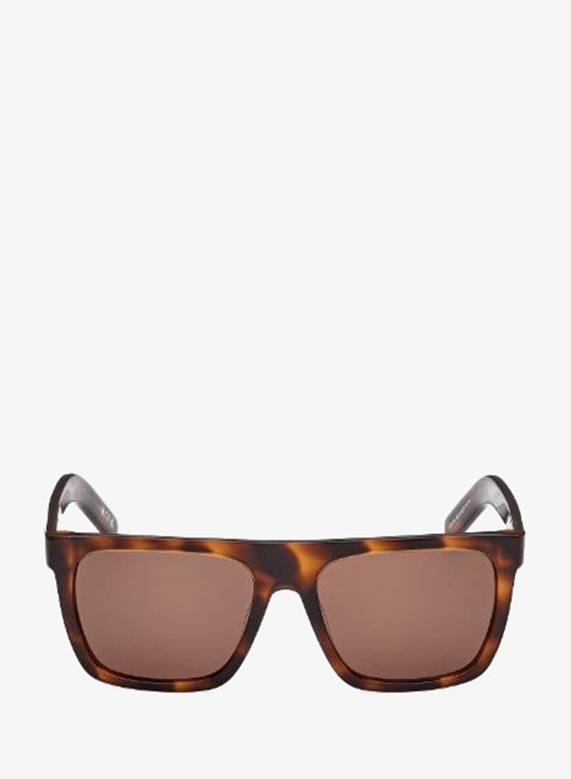 Adidas wayfarers sunglasses - Image 1