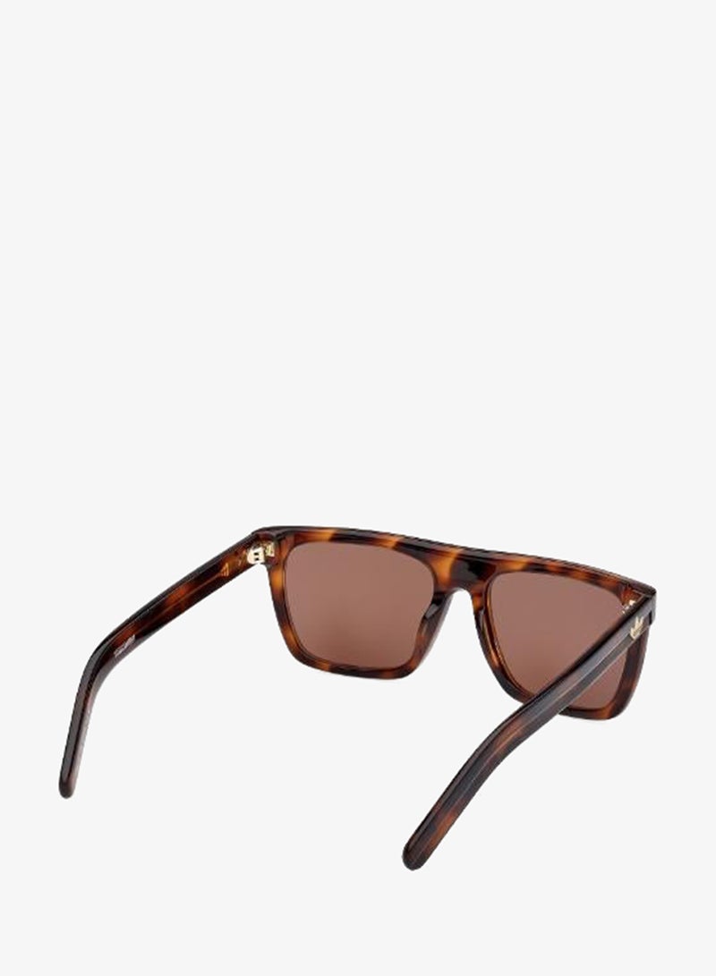 Adidas wayfarers sunglasses - Image 5