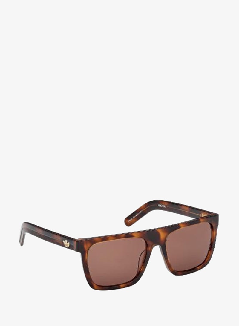 Adidas wayfarers sunglasses - Image 3