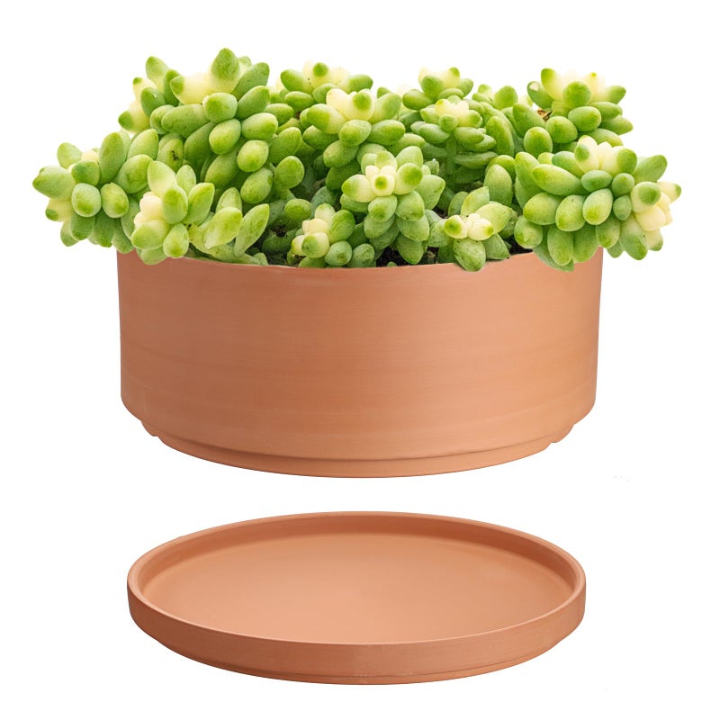 Juxyes 10 Inch Terracotta Shallow Pot With Holes And Saucers  Round Cylinder Succulent Planter Clay Flower Pots For Indoor And Outdoor Use  Decorative Bonsai Succulent For Mini Foliage Plants Orchids - Image 1