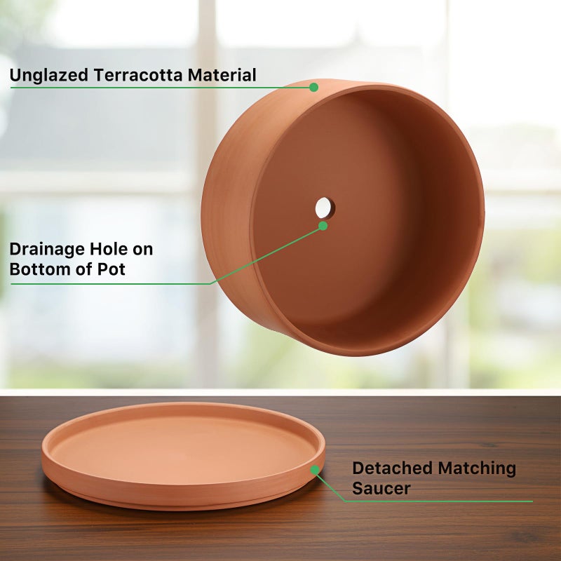 Juxyes 10 Inch Terracotta Shallow Pot With Holes And Saucers  Round Cylinder Succulent Planter Clay Flower Pots For Indoor And Outdoor Use  Decorative Bonsai Succulent For Mini Foliage Plants Orchids - Image 3
