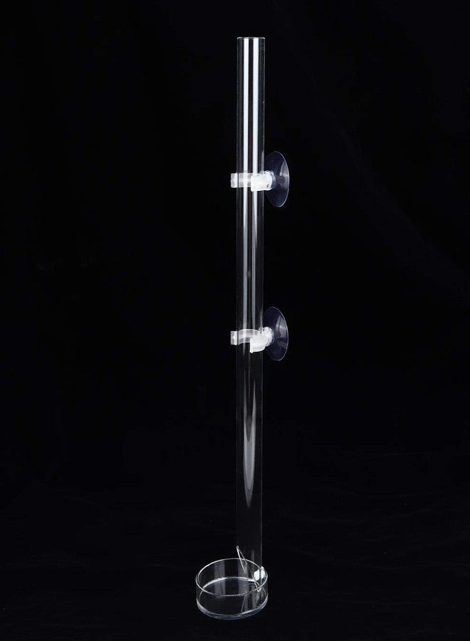Tnfeeon Acrylic Shrimp Feeder Tube, Ornamental Aquarium Feeding Tube Fish Food Container Set with Sucker Hook Fish Accessories(20cm) - Image 4