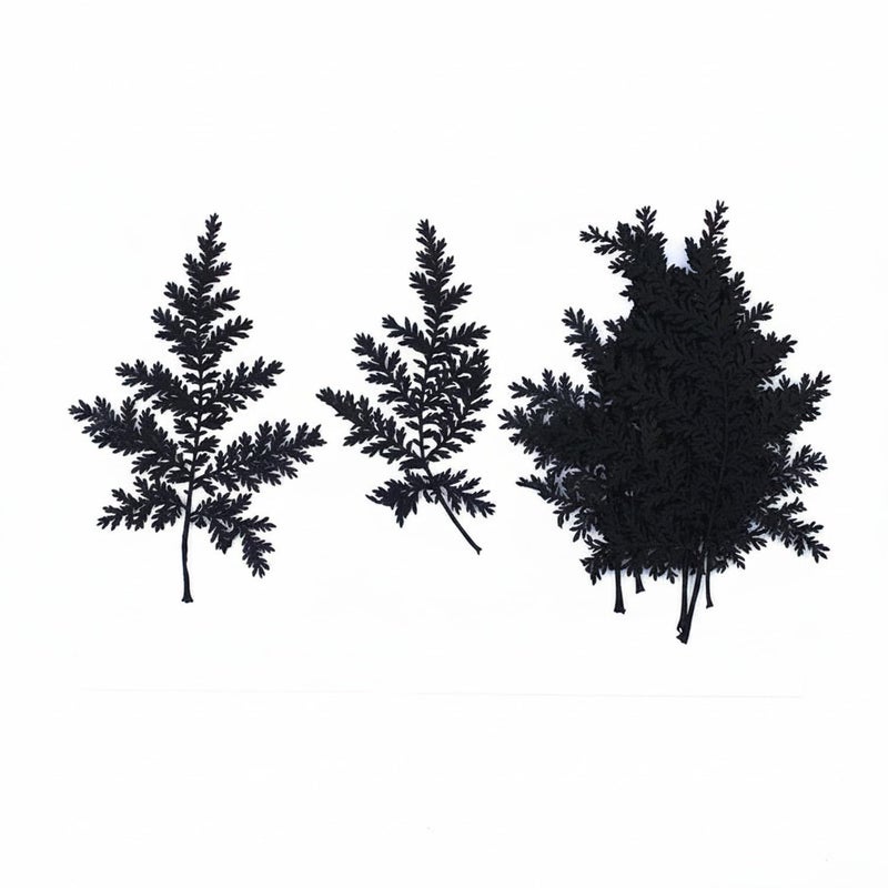 Black Dried Flower Craft Kit 11.81 x 3.94 x 1.97 Inches Natural Botanical Stems for Pressed Art DIY Home Decor Minimalist Arrangements 1 Pack - Image 2