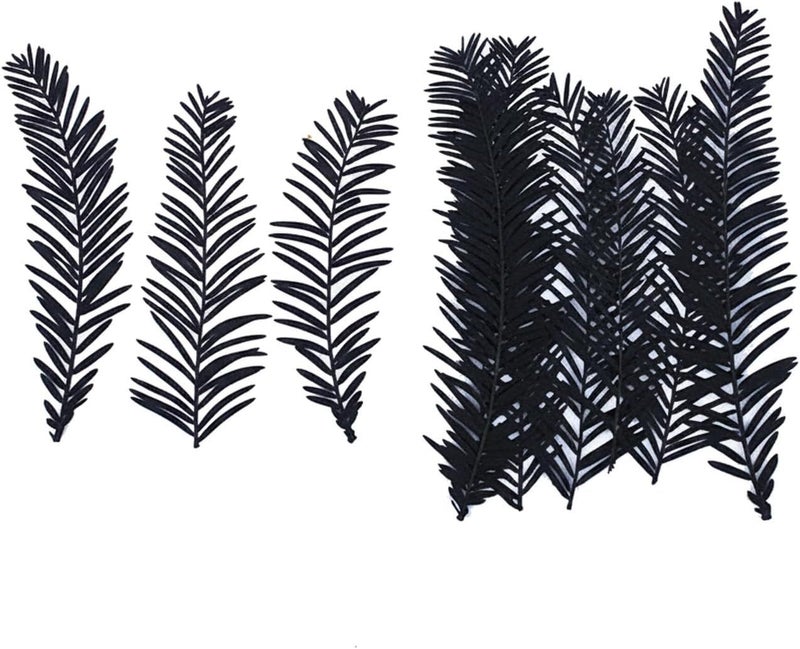 Black Dried Flower Craft Kit 11.81 x 3.94 x 1.97 Inches Natural Botanical Stems for Pressed Art DIY Home Decor Minimalist Arrangements 1 Pack - Image 1