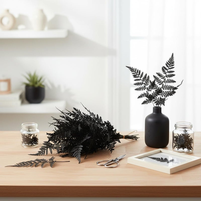Black Dried Flower Craft Kit 11.81 x 3.94 x 1.97 Inches Natural Botanical Stems for Pressed Art DIY Home Decor Minimalist Arrangements 1 Pack - Image 4