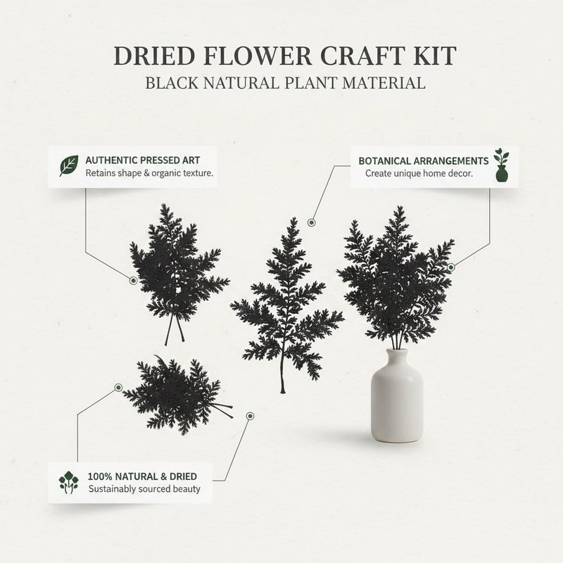 Black Dried Flower Craft Kit 11.81 x 3.94 x 1.97 Inches Natural Botanical Stems for Pressed Art DIY Home Decor Minimalist Arrangements 1 Pack - Image 5
