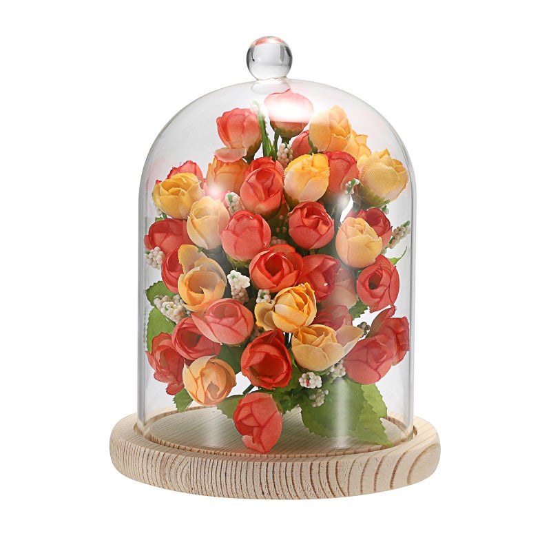 JUXYES Glass Display Dome Cloche with Wood Base Clear Glass Dome Cloche Bell Sphere Jar Snow Globe Kit Snowglobe Cloche Bell Jar Display for Fairy Light Plant Collectible Figures