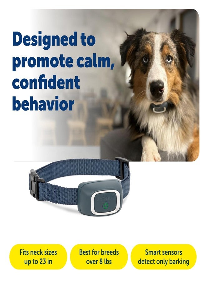 PetSafe Lite Rechargeable Bark Collar for Timid or Little Dogs Over 8 lb., 15 Levels of Automatically Adjusting & Light Static Correction - Rechargeable, Waterproof - Reduces Barking and Whining - Image 3