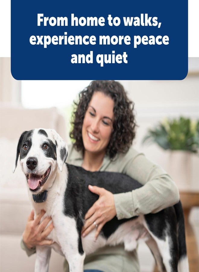 PetSafe Lite Rechargeable Bark Collar for Timid or Little Dogs Over 8 lb., 15 Levels of Automatically Adjusting & Light Static Correction - Rechargeable, Waterproof - Reduces Barking and Whining - Image 5