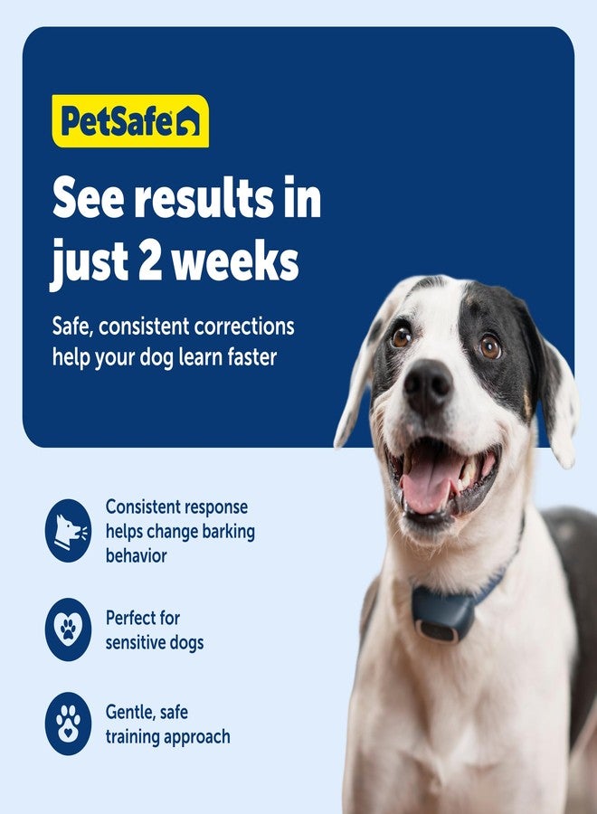 PetSafe Lite Rechargeable Bark Collar for Timid or Little Dogs Over 8 lb., 15 Levels of Automatically Adjusting & Light Static Correction - Rechargeable, Waterproof - Reduces Barking and Whining - Image 4