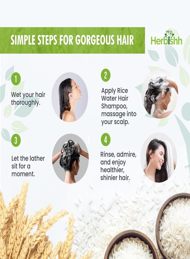 Herbishh Rice Water Hair Growth Shampoo - 400ml with Power of Castor Oil, Argan & Coconut Oil & Biotin | All Hair Type | Hair regrowth for Thinning Hair, Moisturizing & Volumizing | Silicone Free - Image 5