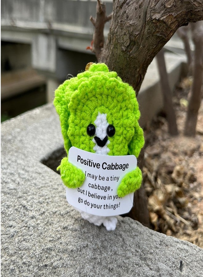 PLWalker Emotional Support Cabbage Gifts Crochet Pickle, Positive Veggie Vegetable Cute Funny Cool Office Desk Decor Decorations for Her Women Men - Image 5