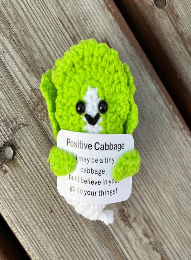 PLWalker Emotional Support Cabbage Gifts Crochet Pickle, Positive Veggie Vegetable Cute Funny Cool Office Desk Decor Decorations for Her Women Men - Image 4