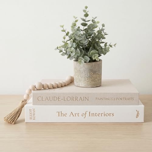 Vine Creations Decorative Books - Set of 2 Linen Hardcover Boxes with Storage - Aesthetic Fake Books for Decoration for Home, Shelf, Bookshelf Decor, Coffee Table Decor, as Storage or Keepsake Box - Image 1