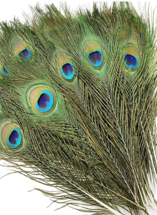 VRB DecTm 20 Pcs Real Natural Peacock Peacock Feather Original Feathers 10-12 inch for DIY Craft Floral Arrangements,Wedding,Home and Party Decorations Feathers (Pack of 20 Pcs) - Image 1