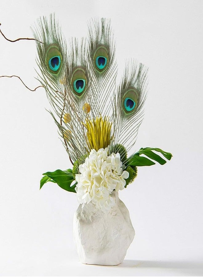 VRB DecTm 20 Pcs Real Natural Peacock Peacock Feather Original Feathers 10-12 inch for DIY Craft Floral Arrangements,Wedding,Home and Party Decorations Feathers (Pack of 20 Pcs) - Image 3
