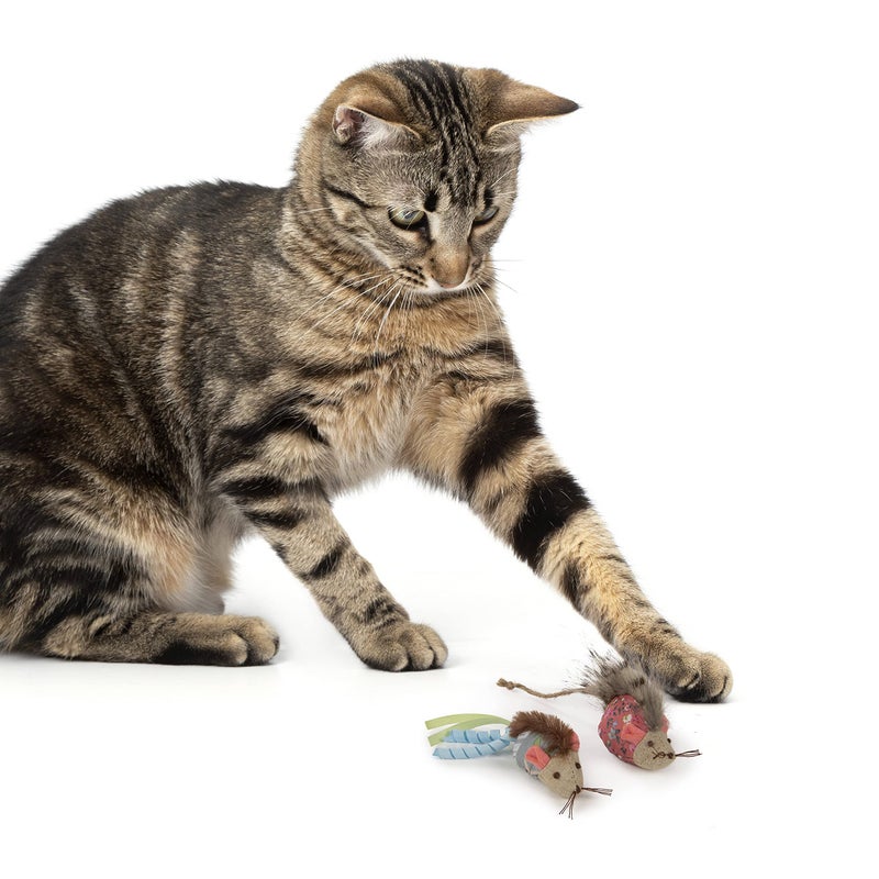 Petlinks (2 Count) HappyNip Mohawk Mice Cat Toys, Contains Silvervine & Catnip - Blue/Pink, 2 Count - Image 4