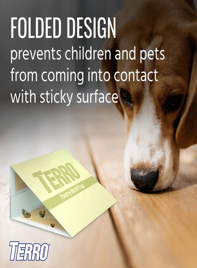 مصائد عثة المؤن من تيرو - تجذب وتصطاد عثة الحبوب والدقيق والحبوب والبذور - مثالية للمطابخ ومخازن المؤن - عبوة من قطعتين - T2900 - Image 5