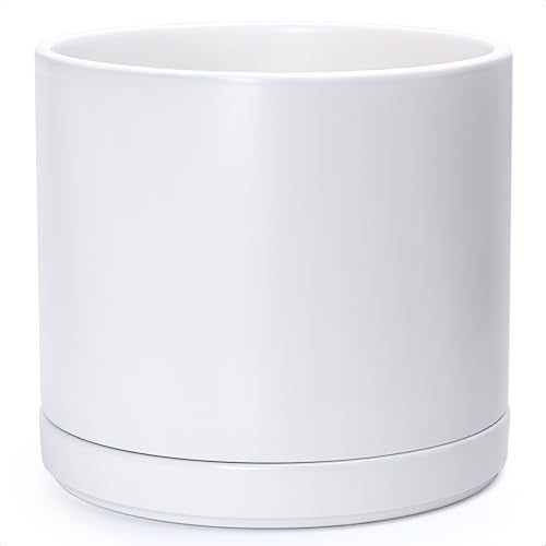 D'vine Dev 14 Inch Ceramic Planter Pot with Drainage Hole and Saucer, Indoor Cylinder Round Planter Pot, White, 94-O-G-1 - Image 1