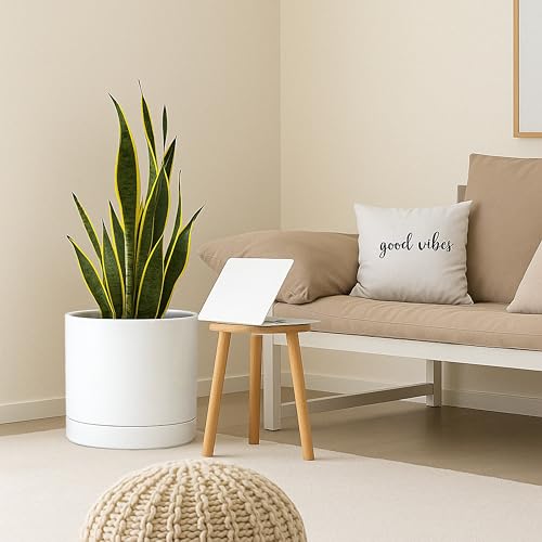 D'vine Dev 14 Inch Ceramic Planter Pot with Drainage Hole and Saucer, Indoor Cylinder Round Planter Pot, White, 94-O-G-1 - Image 2