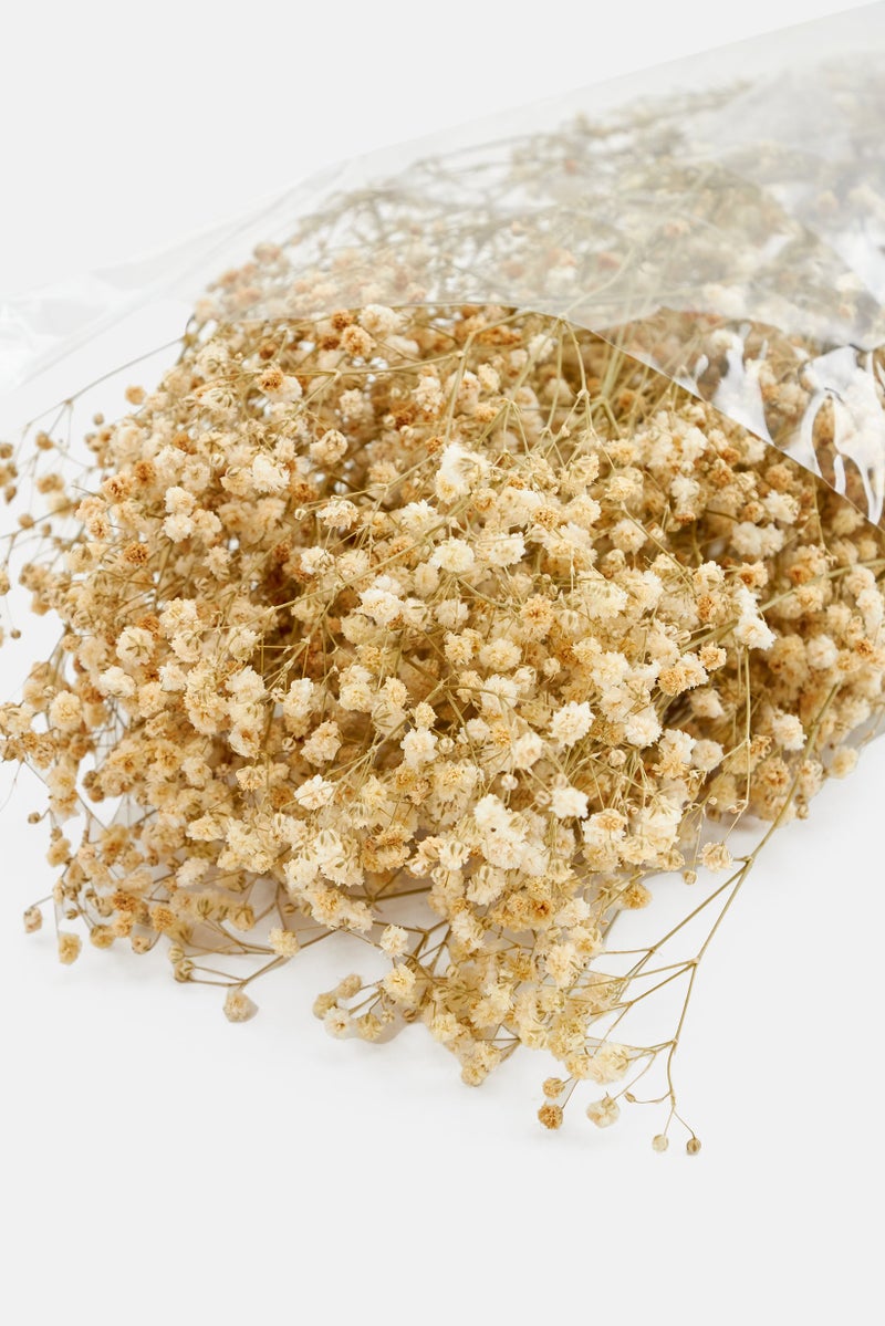 Muy Mucho Bouquet Of Dried Flowers 65 cm, Natural  - Image 3