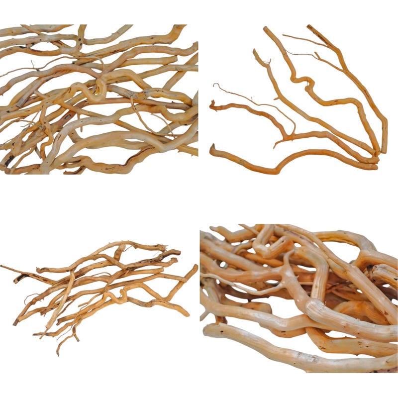 Azil Natural Aquarium Driftwood Root â€“ Driftwood for Aquarium Decor, 250g â‰ˆ 0.551 lb (10â€³â€“15''), Fish Tanks, Terrariums, Aquascaping & Planted Tanks - Image 3