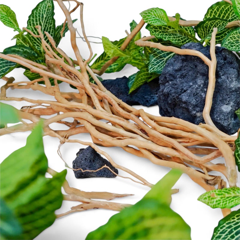 Azil Natural Aquarium Driftwood Root â€“ Driftwood for Aquarium Decor, 250g â‰ˆ 0.551 lb (10â€³â€“15''), Fish Tanks, Terrariums, Aquascaping & Planted Tanks - Image 2