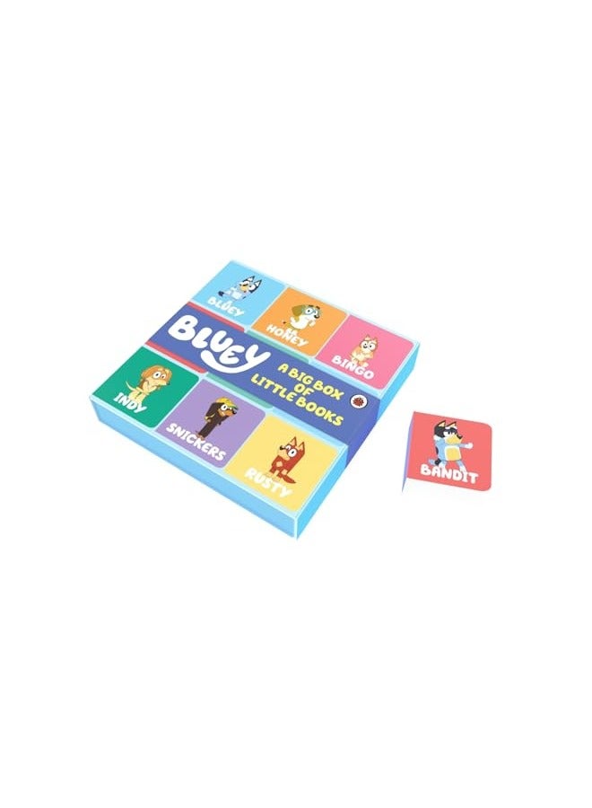 Bluey Big Box Of Little Books