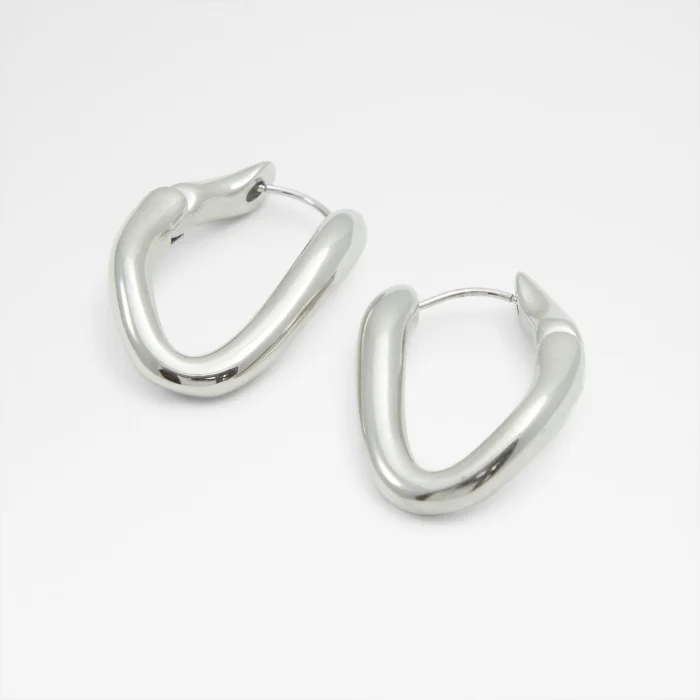 ALDO Khate Hoop earrings