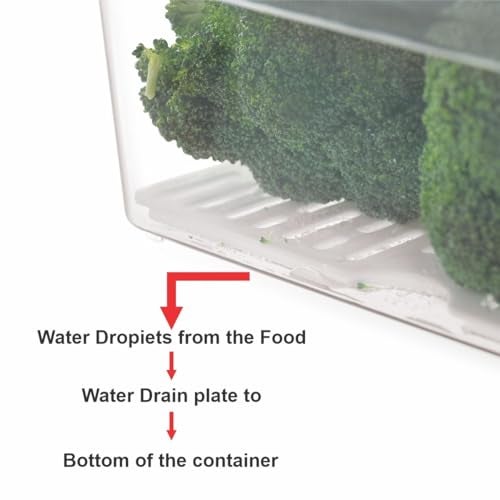 INKULTURE Clear Acrylic Fridge Organizer with Lid & Drain Tray | Clear Plastic Storage Bins for Refrigerator | Set of 4 Sizes | Stackable, BPA-Free Containers for Fruit, Vegetable, Food Storage etc - Image 5