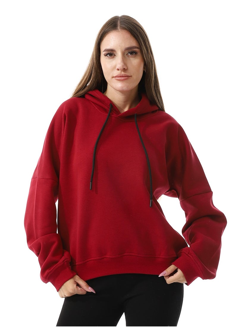 Long Sleeves Fleece Hoodie - pzsku/Z130AC307C89F1F45ABDEZ/45/_/1725786445/d01e005f-eda6-4b94-91c3-5db0d42dad8a