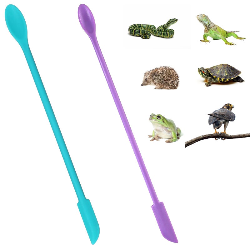 Xelsluthe 2Pcs Reptile Spoon, Crested Gecko Food Mixing Spoon Long Handle Feeding Tool Crested Gecko Accessories fit Lizard Gargoyle Bearded Dragon - Image 4