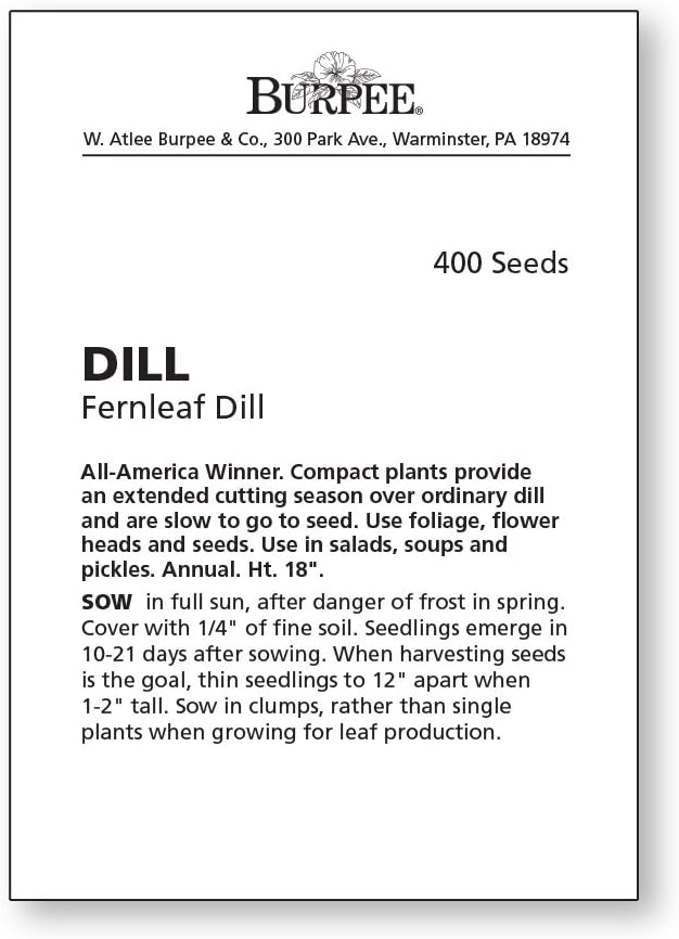 Burpee Fernleaf Dill Seeds 400 seeds - Image 2
