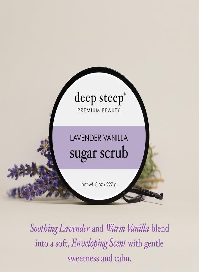 Deep Steep سكر مقشر عميق، لافندر فانيليا، 8 أونصة - مقشر جسم مقشر بزيت جوز الهند العضوي، زبدة الشيا وزيت الأركان - نباتي، جمال نظيف، بشرة ناعمة ومرطبة - Image 3