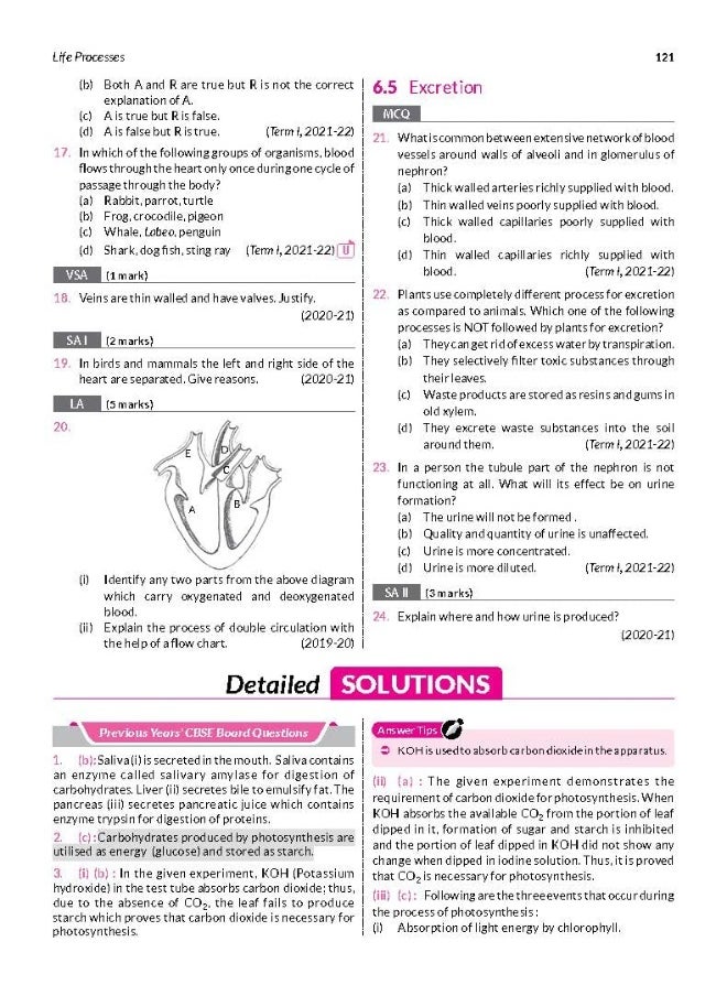 MTG CBSE 10 Years Chapterwise Topicwise Solved Papers Class 10 Science - CBSE Champion For Exam 2023 (Strictly Updated As Per The CBSE Syllabus)