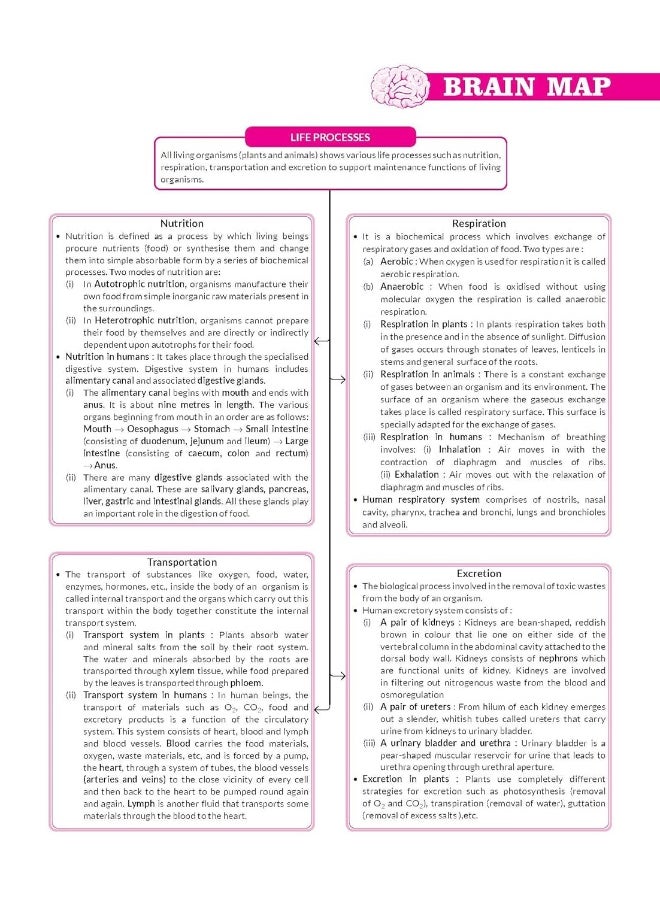MTG CBSE 10 Years Chapterwise Topicwise Solved Papers Class 10 Science - CBSE Champion For Exam 2023 (Strictly Updated As Per The CBSE Syllabus)