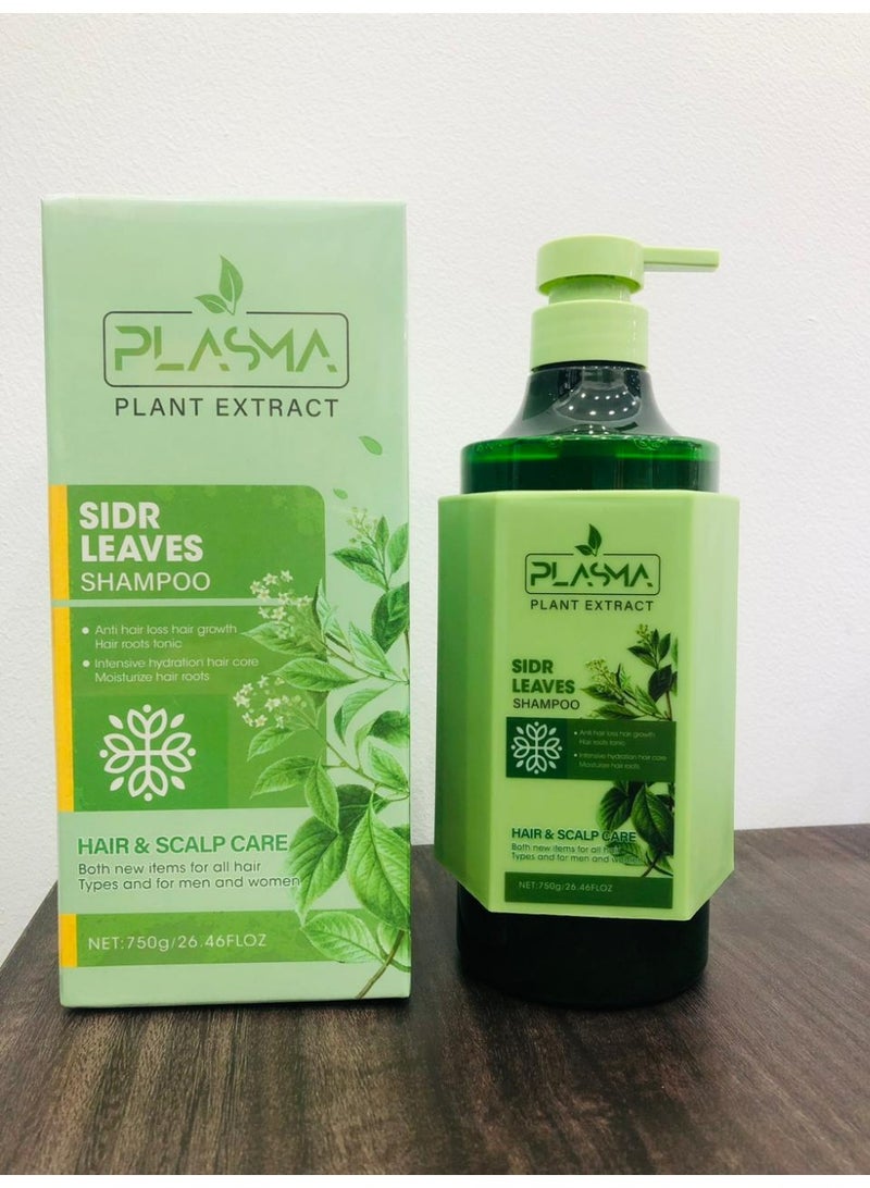 شامبو بلازما سيدر ليفز للعناية بالشعر وفروة الرأس 750 غرام