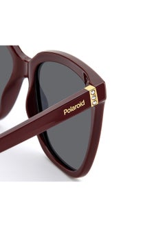 Polaroid نظارة شمسية مستقطبة مربعة للنساء - Pld 4155/S/X أبيض ملليمتر - مقاس العدسة: 55 ملم  - Image 5