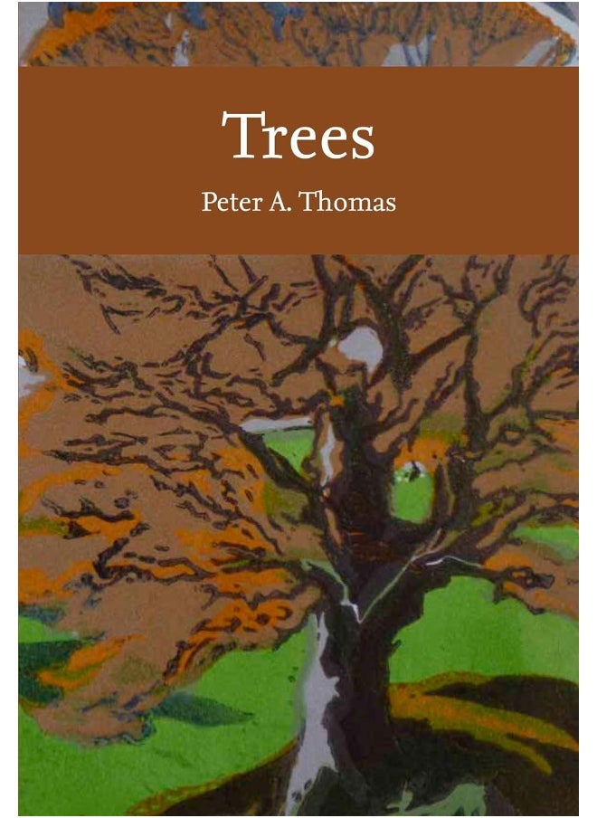 null - Trees - Image 1