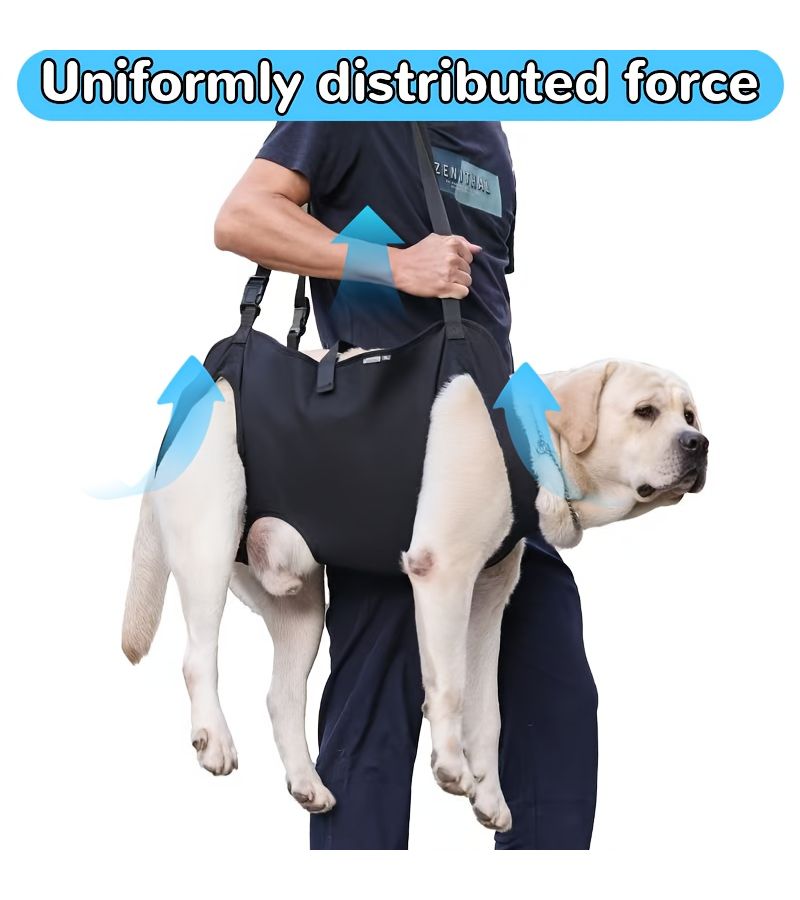 Dog Leash Size S Handheld Aid Senior Disabled Dogs Stairs Helper - Image 2