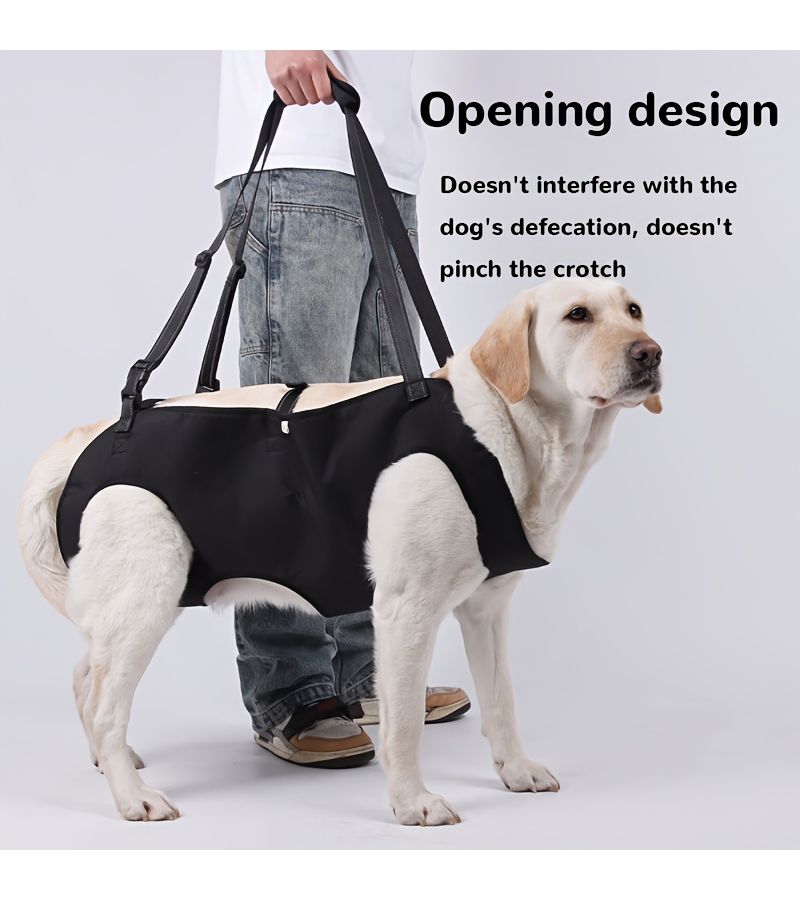 Dog Leash Size S Handheld Aid Senior Disabled Dogs Stairs Helper - Image 1